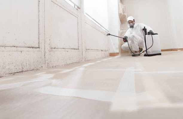 24/7 Emergency Mold Remediation experts in Sayreville, NJ