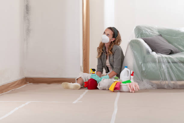Reliable Mold Remediation contractor in Sayreville, NJ by Cheap Mold Removal